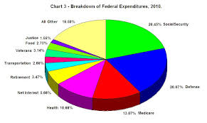 12 specific us fiscal spending pie chart