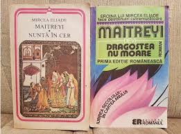 Top 7 carti cele mai citite. 5 Cele Mai Bune Carti Romanesti B Iff