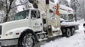 24 hour pest control services in arnold. Kevin S Crane Company Llc Po Box 272 Avery Ca 2021