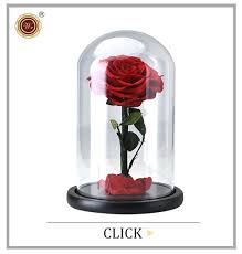 Opens and closes with water and does not require any care. Ainy Rose Hot Sale Red Single Eternal Rose That Last Forever Preserved Eternal Roses Flowers With Glass Cover For Gift Buy Eternal Red Rose Eternal Rose Eternal Rose Product On Alibaba Com