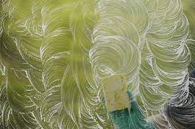 How To Clean Glass Shower Doors Shower Doors Glass Shower Doors Cleaning Glass Shower Doors