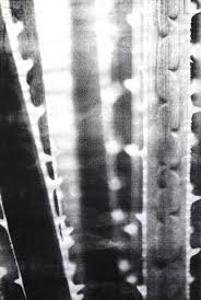 Bildergebnis für Ala D'Amico