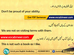English To Hindi Sentences English To Urdu Sentences Hindi To English Sentences English To Hi Basic English Sentences Learn English Words English Vocabulary
