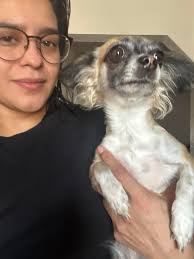 Lost Pet Found in El Paso, TX: Molly's Safe Return