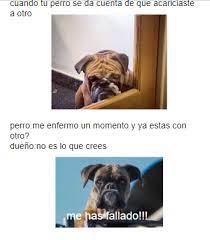 Memes Que Te Haran Lorar De Riza Jajaja Memes Perros Enfermos