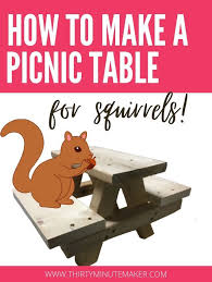 Pin On Squirrels