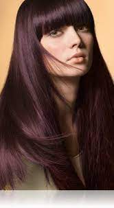 Lovin This Hair Color I May Try It Burgundy Brown Hair Hair Color Burgundy Dark Burgundy Hair