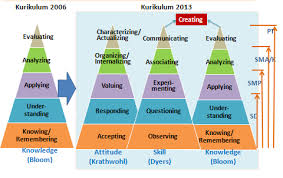 Kompetensi inti merupakan tingkat kemampuan untuk mencapai standar kompetensi lulusan yang harus dimiliki seorang peserta didik pada setiap tingkat kelas atau program yang menjadi landasan pengembangan. Elemen Elemen Perubahan Kurikulum 2013 Irwan Sahaja