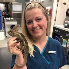 Our Vet Staff in Rural Hall NC