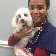 The university's original location was in wake forest, north of raleigh, north carolina. Academy Pet Hospital Fayetteville Nc