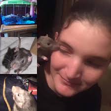 This is my 4 month old named Snickers. My first but definitely won't be the  last.