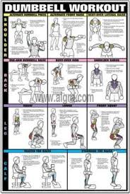 dumbbell shoulder back leg workout poster by bruce