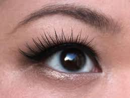 Add to bag quick view ardell. How To Apply False Eyelashes For Asian Eyes Wonderhowto