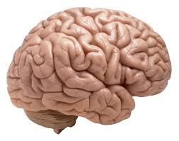 Related image