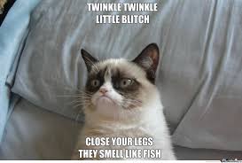Twinkle Twinkle Little Star Grumpy Cat Wersion Grumpy Cat Grumpy Cat Humor Grumpy Cat Meme