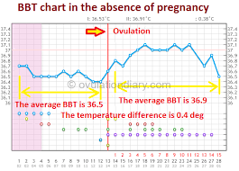 the normal bbt in the absence of pregnancy charts