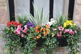 Check spelling or type a new query. Marvelous Useful Tips Artificial Plants Decoration Green Walls Artificial Flowers Livi Artificial Plant Arrangements Fake Plants Decor Small Artificial Plants