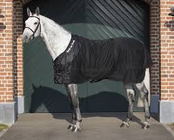 Back On Track Mesh Sheet Olympic Horses Horses Back On Track