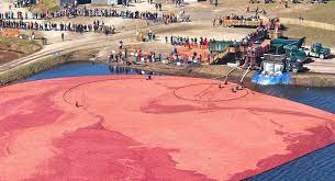 Check Out The 13th Annual Cranberry Harvest Festival