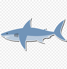 Check spelling or type a new query. Reat White Shark Bull Shark Shark Finning Lemon Shark Cartoon Shark Png Image With Transparent Background Toppng