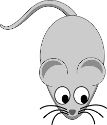  Mouse 311207 960 720 Png 616 720 Abuela