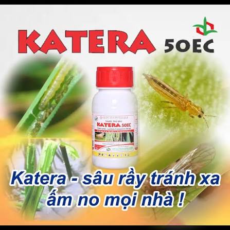Katera 50EC