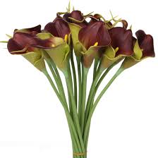 We did not find results for: 20 Pcs Calla Lily Bridal Silk Wedding Bouquet Luyue Head Lataex Real Touch Flowers Bouquets Party Decor Artificial Bunch Flower Brown Buy Online In Bahamas At Bahamas Desertcart Com Productid 55601187
