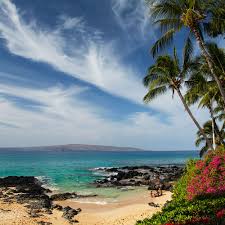 Weather in their vicinity is usually stable. The Best Time To Visit Hawaii