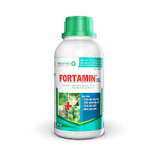 Fortamin 3SL