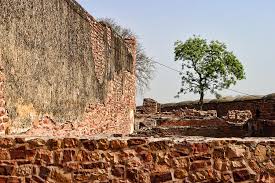 While erecting a wall used to be a test that would separate men from boys. Aged Brick Wall Single Tree Photograph By Linda Phelps