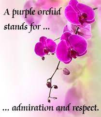 Orchids Buzzle Com Flower Meanings Orchid Flower Purple Orchids