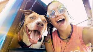 Grief and support for loss of a beloved pet