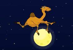 Indian restaurant in manchester, united kingdom. 24 Camels Nose Ideas Camels Nose Camels Illustration