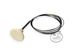 Image result for Ivory 1949 Beetle