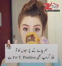 7,102 likes · 177 talking about this. One Liner Jokes In Urdu