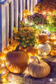 Add to the natural beauty of your backyard with stylish pumpkin decorations and seasonal window boxes filled with hardy flowers. 250 Fall Outdoor Decorating Ideas In 2021 Fall Outdoor Fall Decor Fall