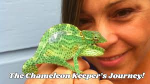 Your Chameleon Journey