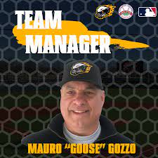 Главная билеты на спорт бейсбол gastonia honey hunters. Atlantic League Professional Baseball News