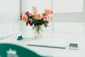 S.k.n rose & horticulture farm is a well known and reputed horticulture farm. 9 House Plants That Boosts Health Happiness Brain Power