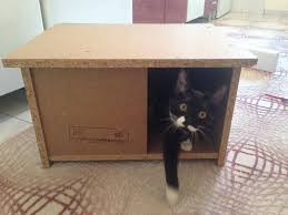 Adore Kedi Evi Eksi Mobilya Dekorasyon