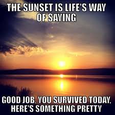 Looking at a sunset, just for a second you forget your separateness: Humorous Sunset Quotes Pin On Haha Dogtrainingobedienceschool Com