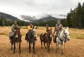 James also answers to james a gines, james a gings, james a marsh, james anthony gines and james c gimes, and perhaps a couple of other names. Gines Family Synonymous With Rodeo Powell Tribune