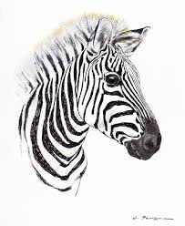Abstract Black And White Animal Drawings Zebra Portrait By Kurt Tessmann Zebra Art Zebra Drawing Zebra Illustration