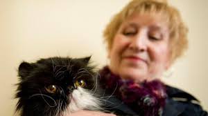 Is pet health insurance a boondoggle, or essential? What experts say