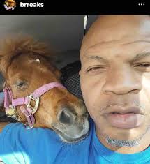 Fundraiser for Jennifer Greeson by Levar Miller : Help rescuing horses and  starting horse community