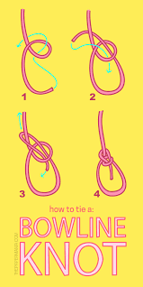 How To Tie A Bowline Knot The Paper Mama Bowline Knot Tie Knots Strong Knots