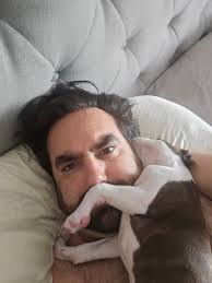 Boston terriers in personal space naturally