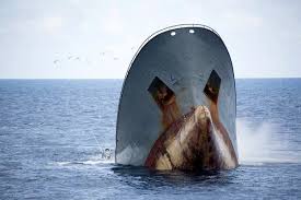 Sea design, one of the leading distributors of superyacht crew uniform and yachtwear. A Renegade Trawler Hunted For 10 000 Miles By Vigilantes The New York Times
