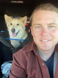 Traveling with dogs in vehicles safely?