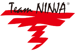 The following is a list of all the different codes and what you get when you put them in. Team Ninja Wikipedia